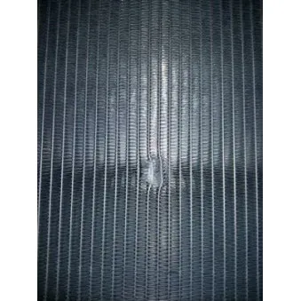 Radiateur, refroidissement du moteur THERMOTEC D7SC004TT