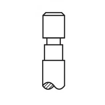 Soupape d'admission AE V91361