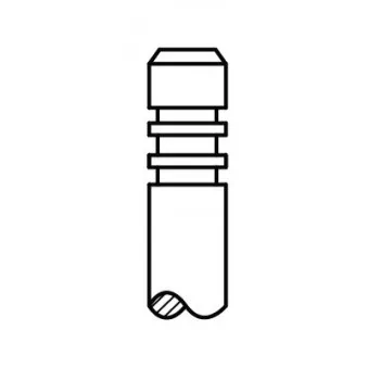 Soupape d'admission AE V95160