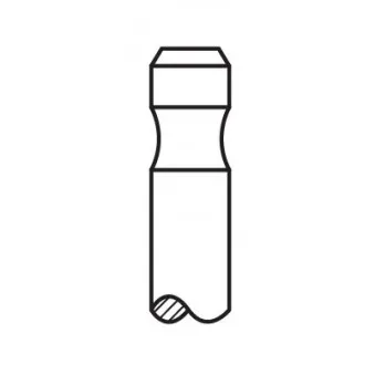 Soupape d'admission AE V94579