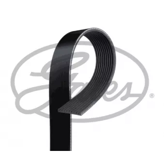 Courroie trapézoïdale à nervures GATES 10PK2480HD