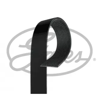 Courroie trapézoïdale à nervures GATES 11PK1545HD