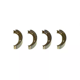 Jeu de mâchoires de frein, frein de stationnement BREMBO S 50 511