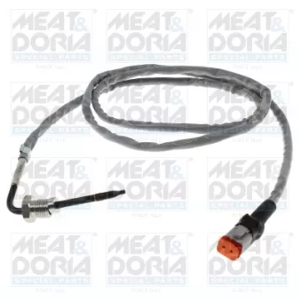 Capteur, température des gaz MEAT & DORIA