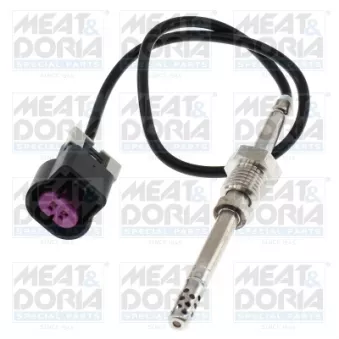 Capteur, température des gaz MEAT & DORIA