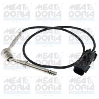 Capteur, température des gaz MEAT & DORIA