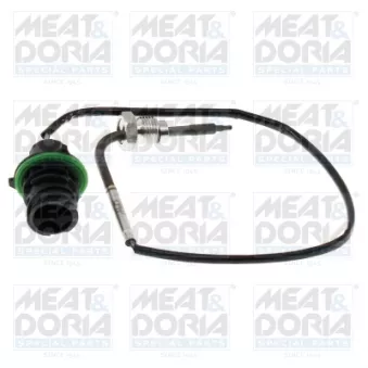 Capteur, température des gaz MEAT & DORIA