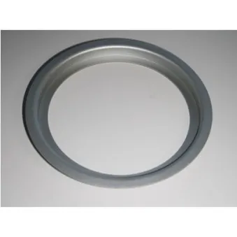 Garniture, anti-poussière - roulement de roue CORTECO