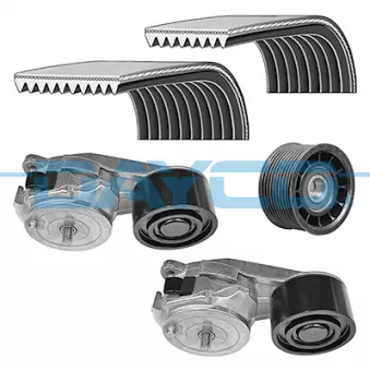 Jeu de courroies trapézoïdales à nervures DAYCO