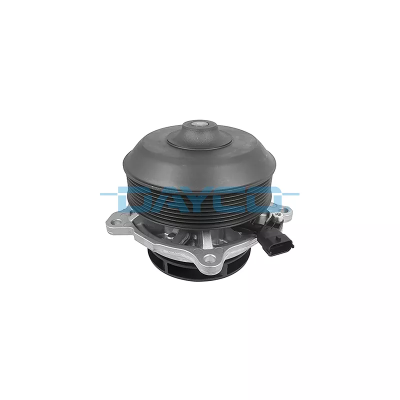 Pompe à eau, refroidissement du moteur DAYCO DP1979