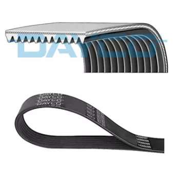 Courroie trapézoïdale à nervures DAYCO