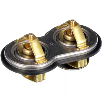 Thermostat d'eau GATES