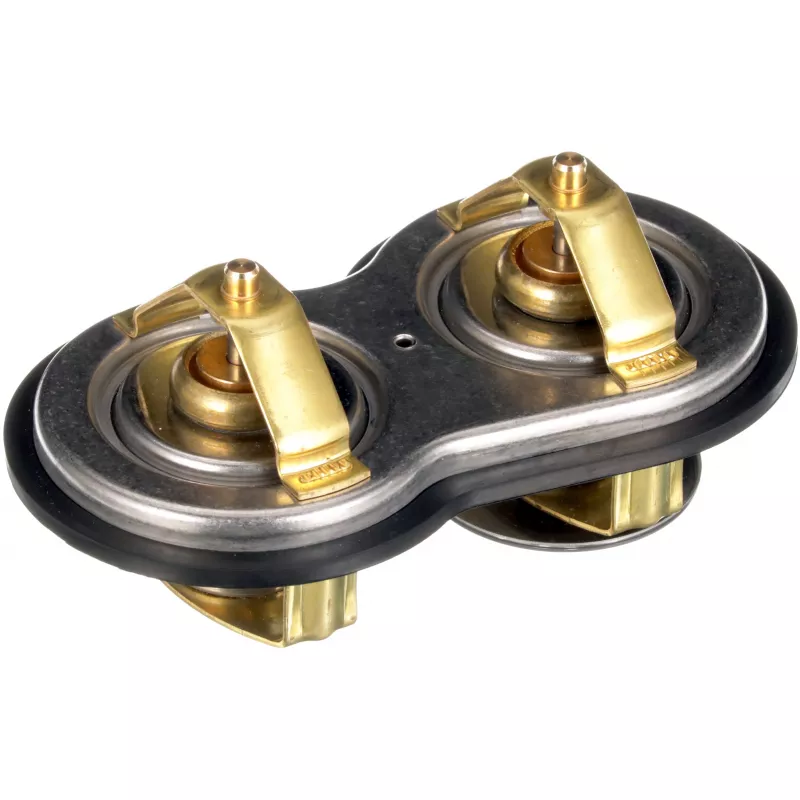 Thermostat d'eau GATES TH67383G1