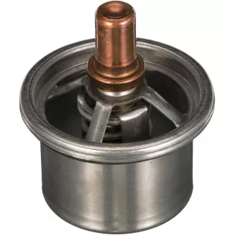 Thermostat d'eau GATES TH66475G1
