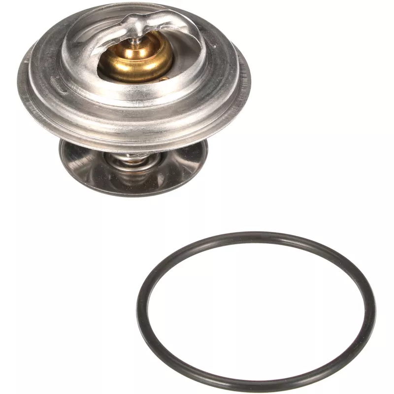Thermostat d'eau GATES TH13380G1