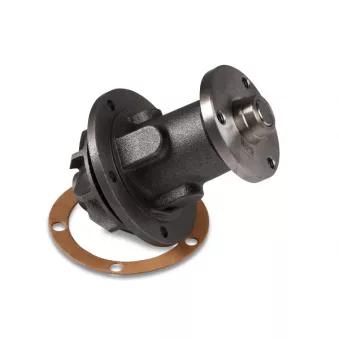 Pompe à eau HEPU P0122