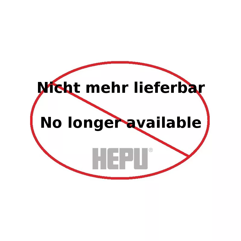 Pompe à eau HEPU P152