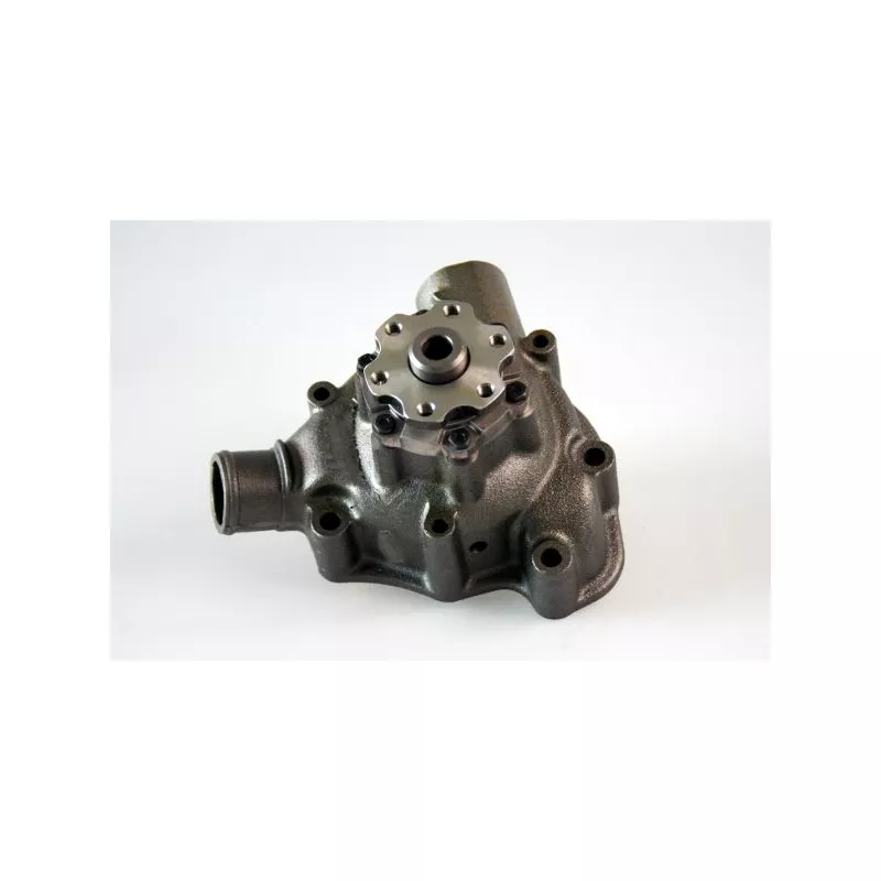 Pompe à eau HEPU P1464