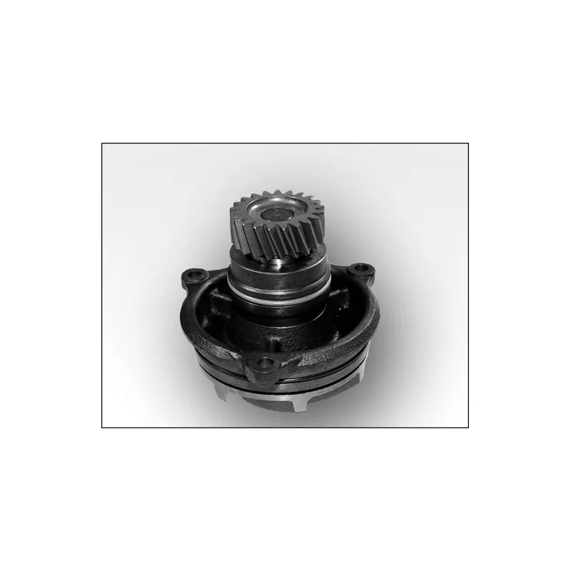 Pompe à eau HEPU P1171