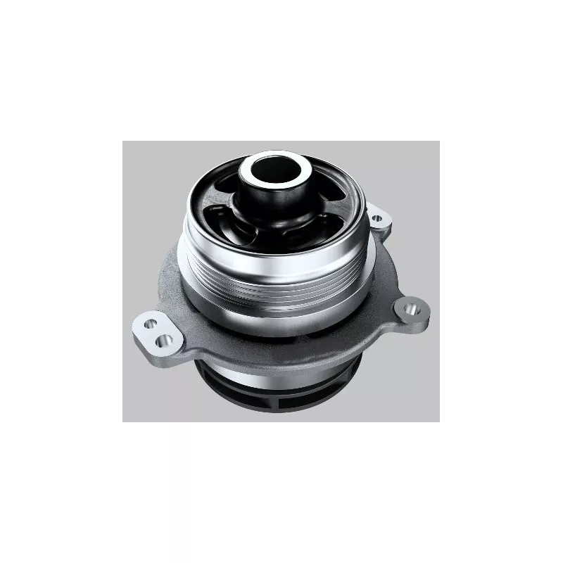 Pompe à eau HEPU P1211