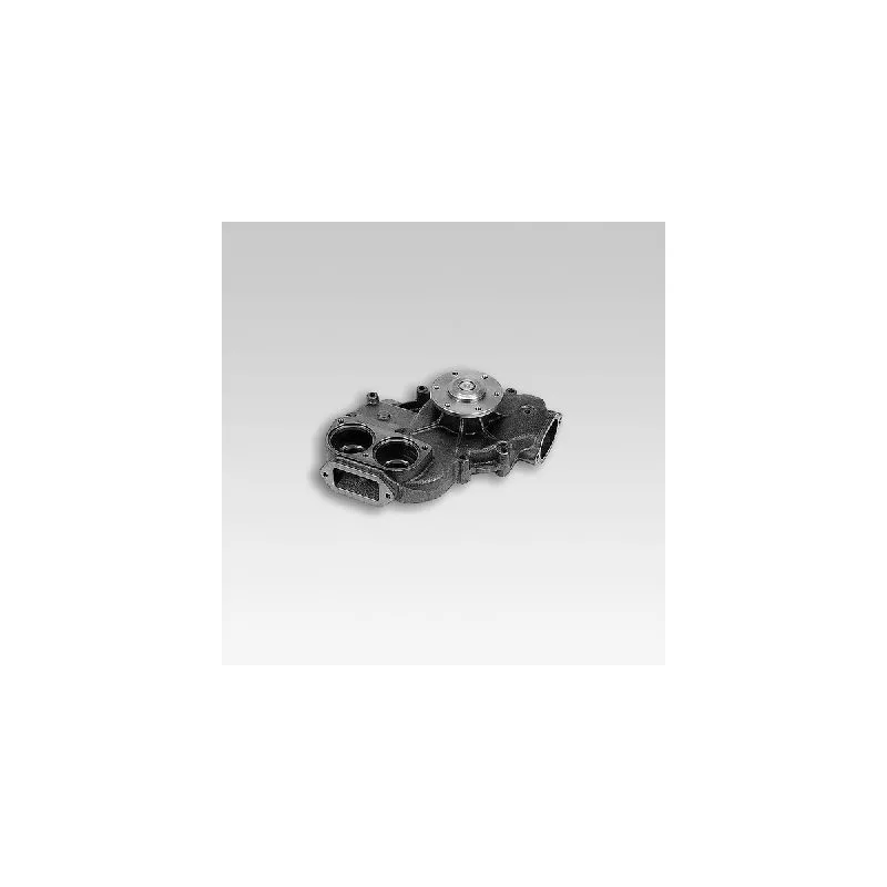 Pompe à eau HEPU P1403