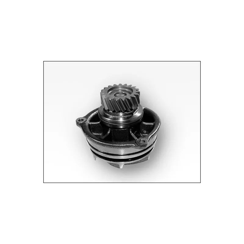 Pompe à eau HEPU P1178