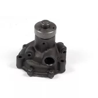 Pompe à eau HEPU P1180