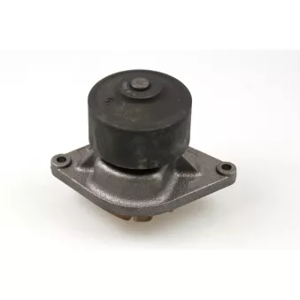 Pompe à eau HEPU P1190