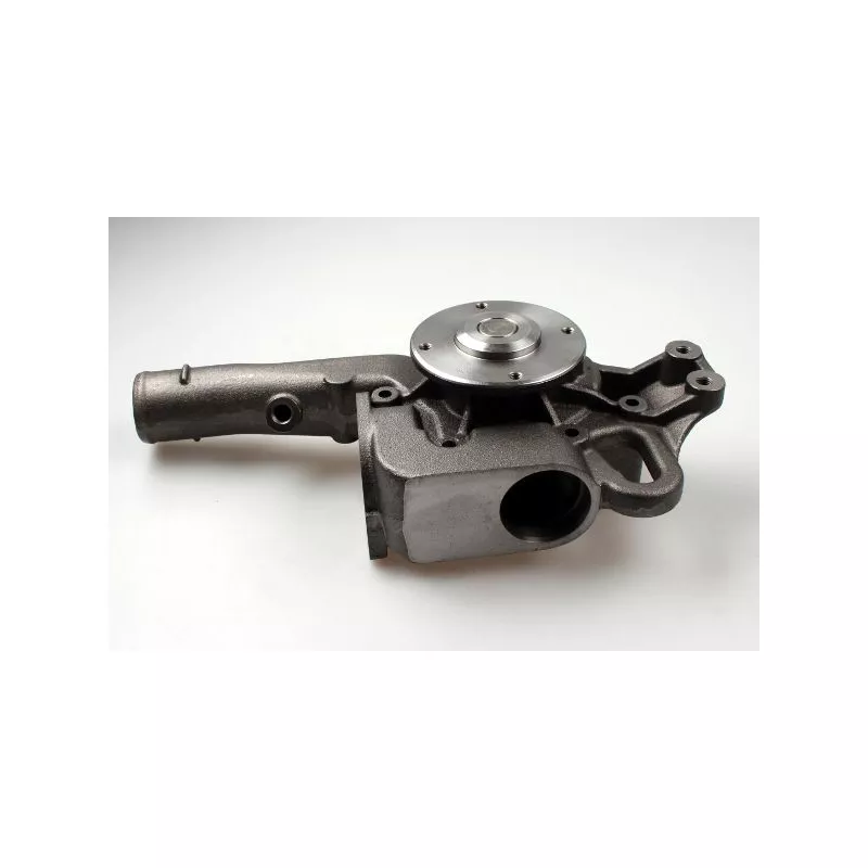 Pompe à eau HEPU P1554