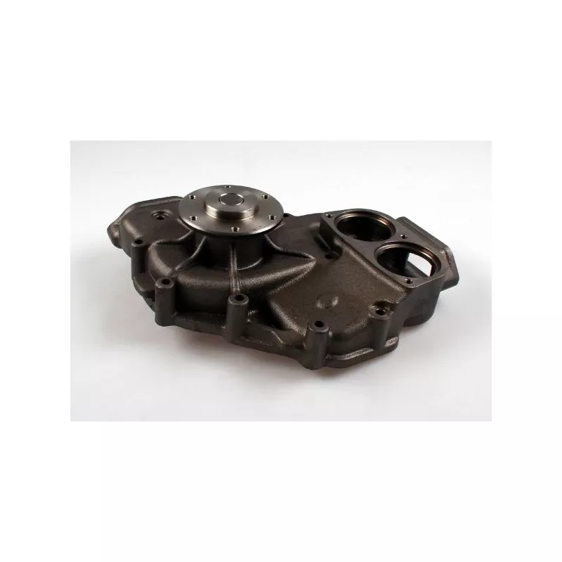 Pompe à eau HEPU P1559