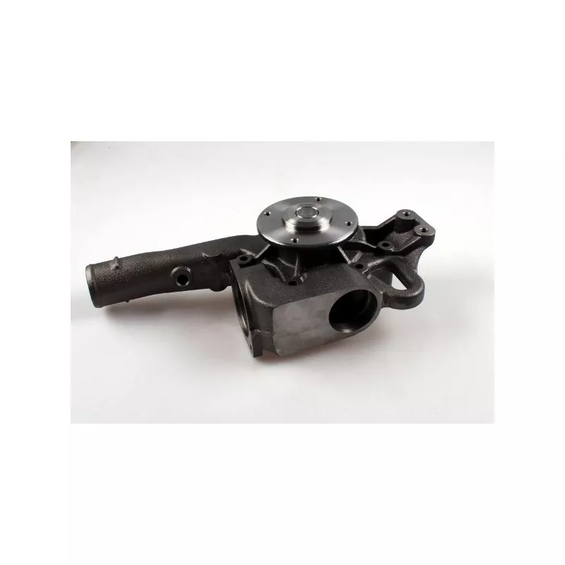 Pompe à eau HEPU P1562