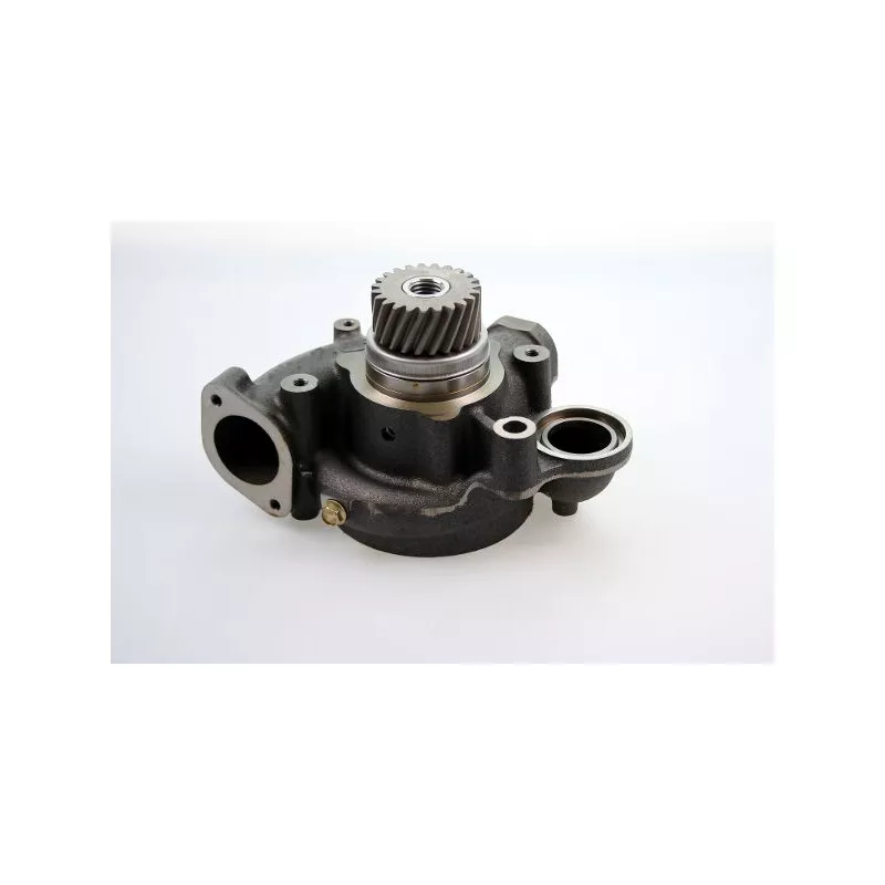 Pompe à eau HEPU P1641