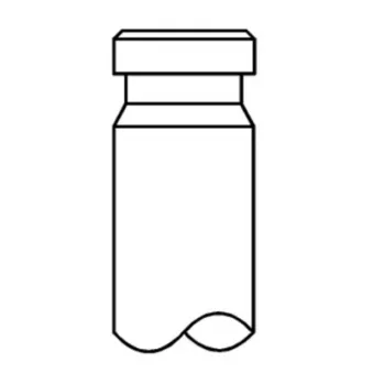 Soupape d'émission MAHLE