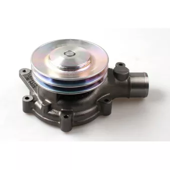 Pompe à eau HEPU P9983