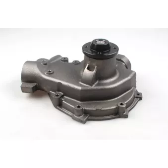 Pompe à eau HEPU P9997