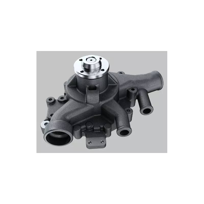 Pompe à eau HEPU P9965