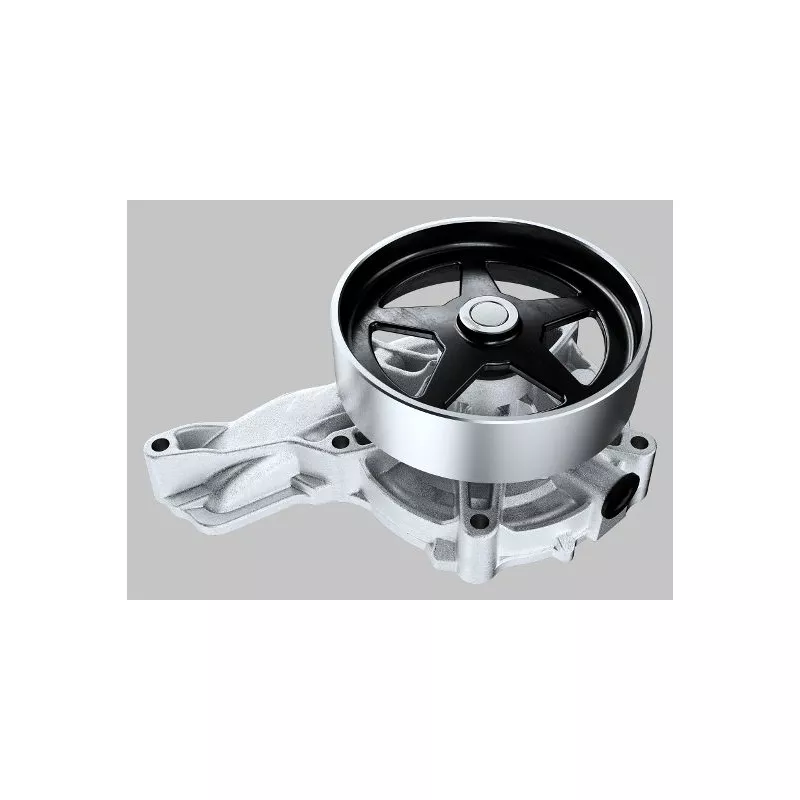 Pompe à eau HEPU P9968