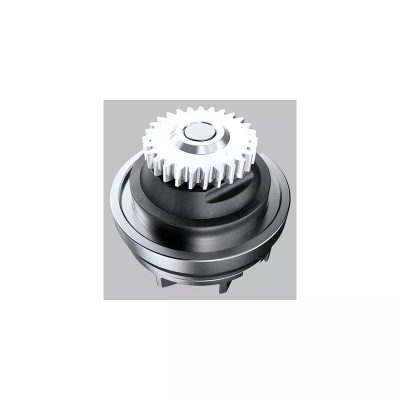 Pompe à eau HEPU P9962