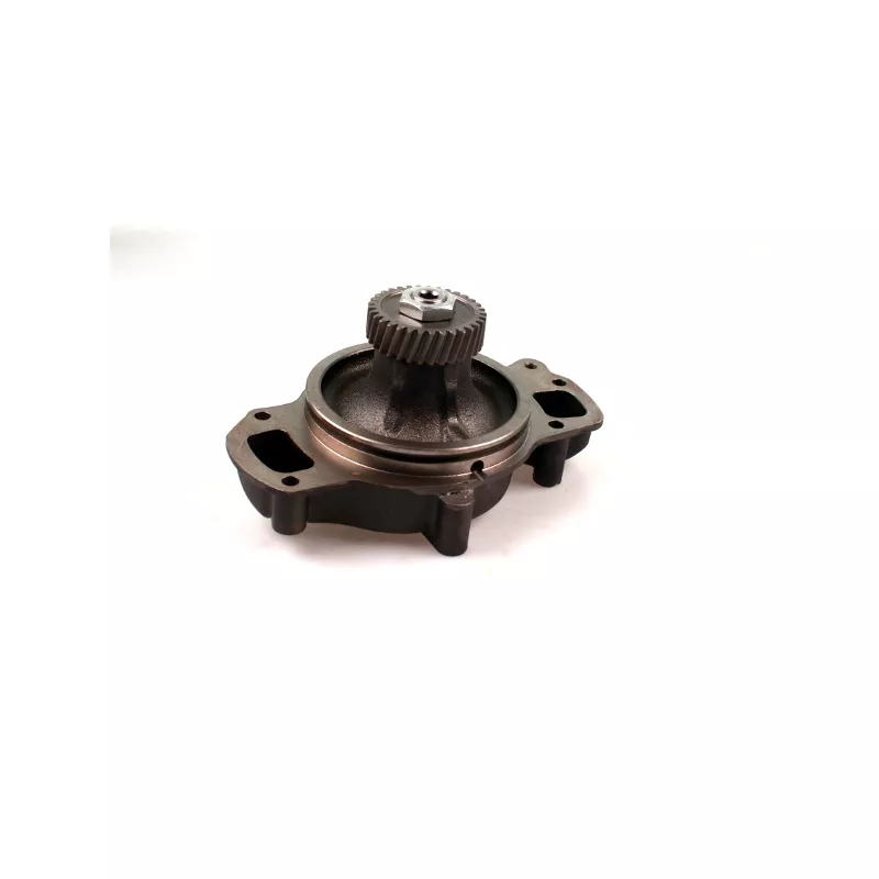 Pompe à eau HEPU P9907