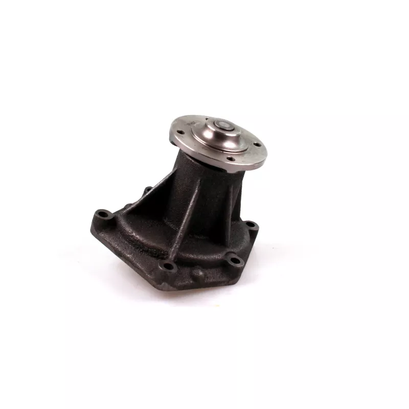 Pompe à eau HEPU P9914