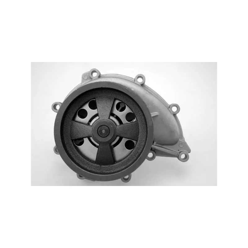 Pompe à eau HEPU P9916