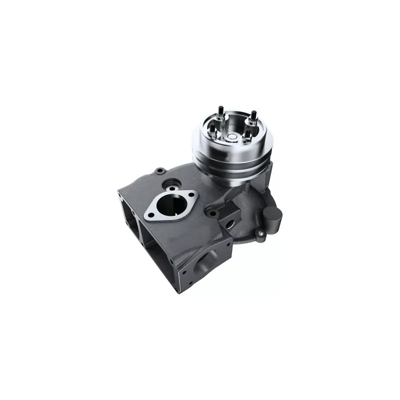 Pompe à eau HEPU P9927