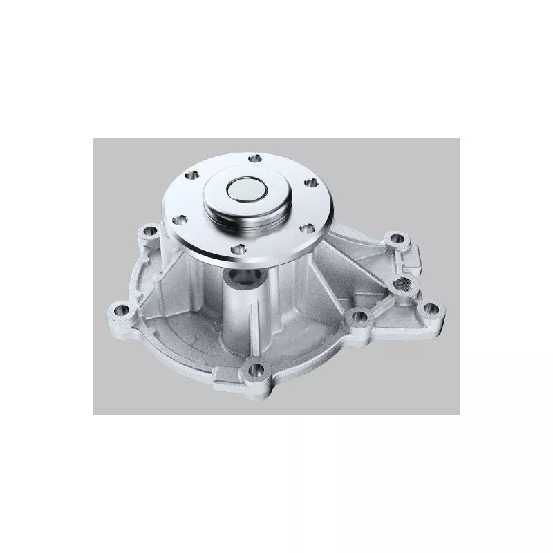 Pompe à eau HEPU P9959