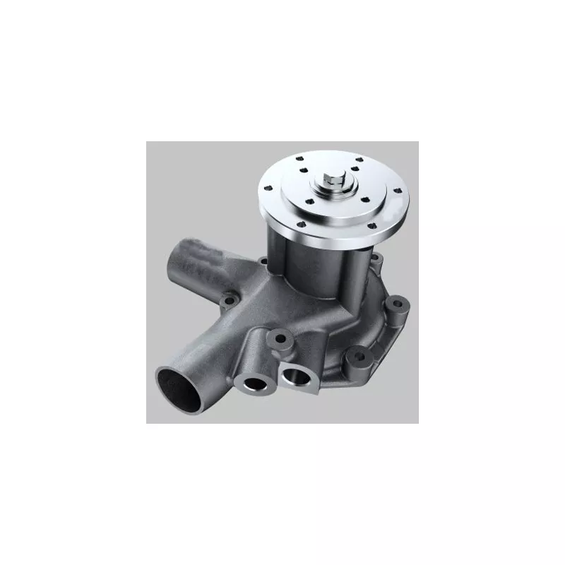 Pompe à eau HEPU P9936