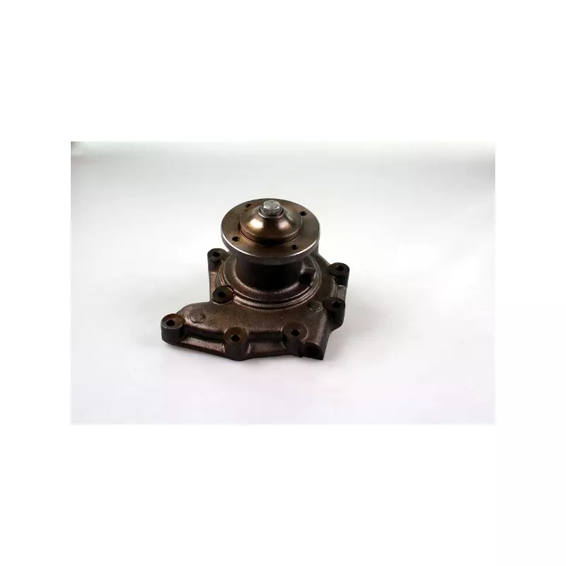 Pompe à eau HEPU P9938