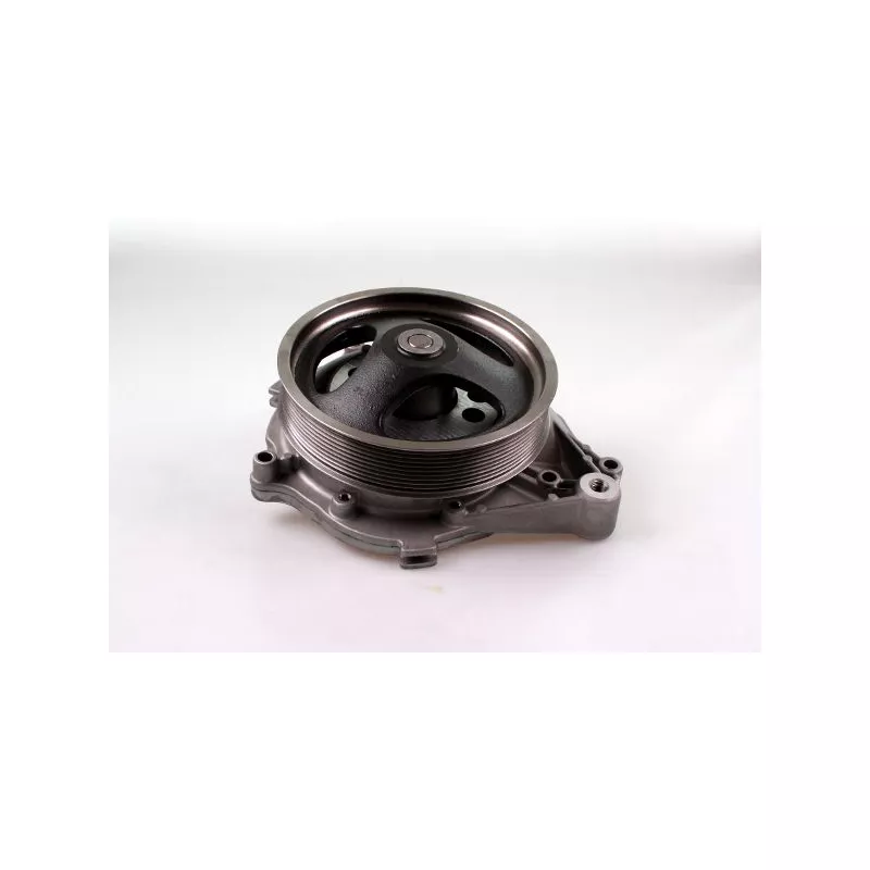 Pompe à eau HEPU P9951