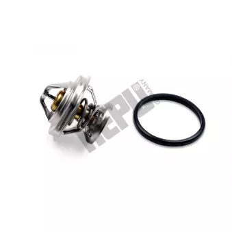 Thermostat d'eau HEPU TM1392