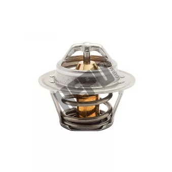 Thermostat, liqiuide de refroidissement HEPU