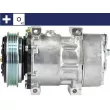 Compresseur, climatisation MAHLE ACP 174 000S - Visuel 1