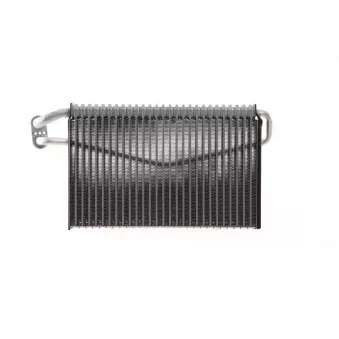 Evaporateur climatisation MAHLE AE 67 000S